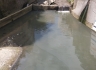 부산천 오염수질 회복 현장(Water recovery workplace in Busan River)